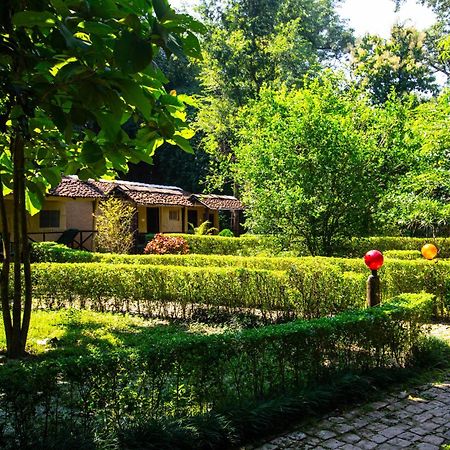 Hotel Wild Planet Eco Retreat Bardiya Esterno foto