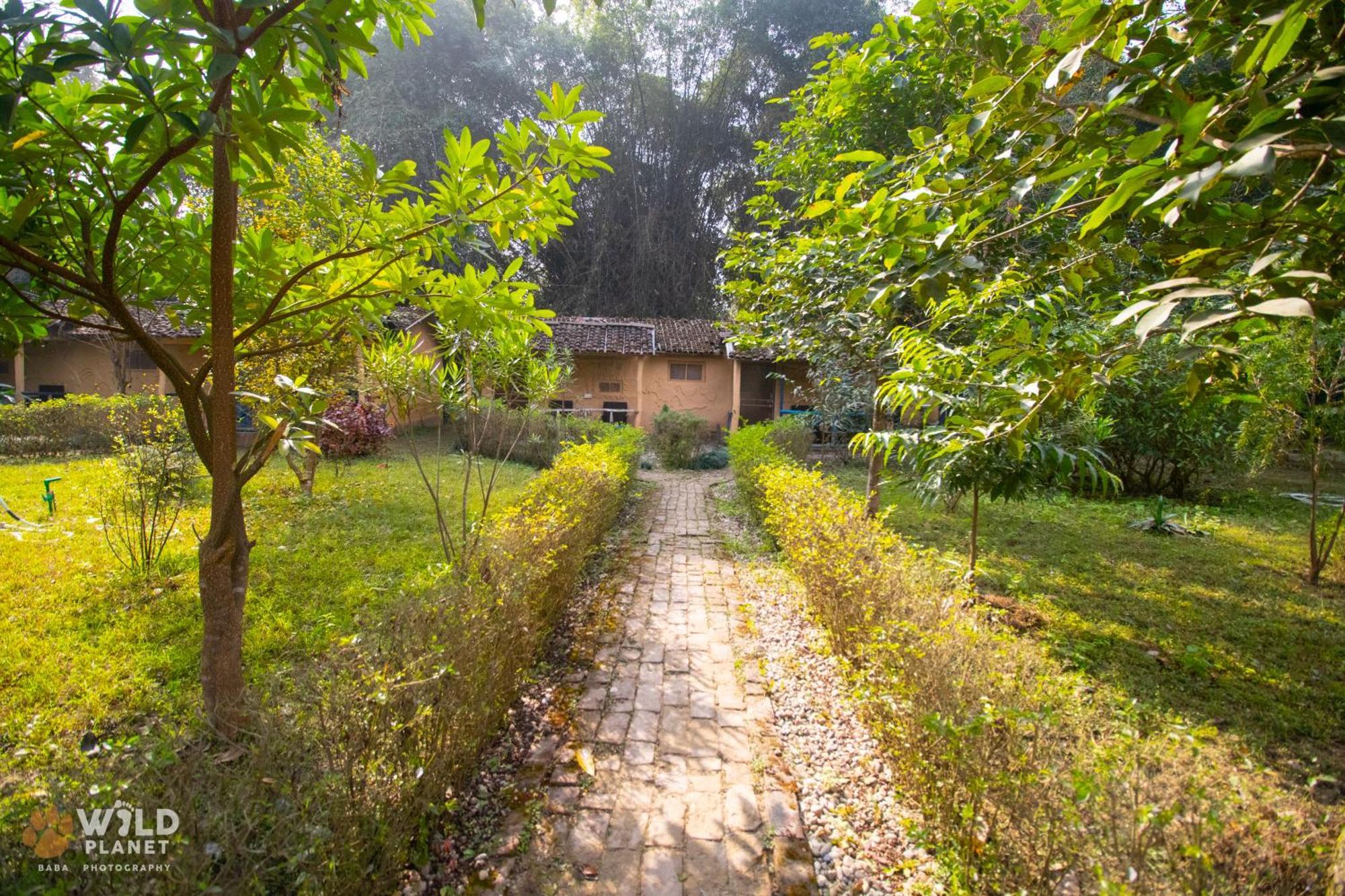 Hotel Wild Planet Eco Retreat Bardiya Esterno foto