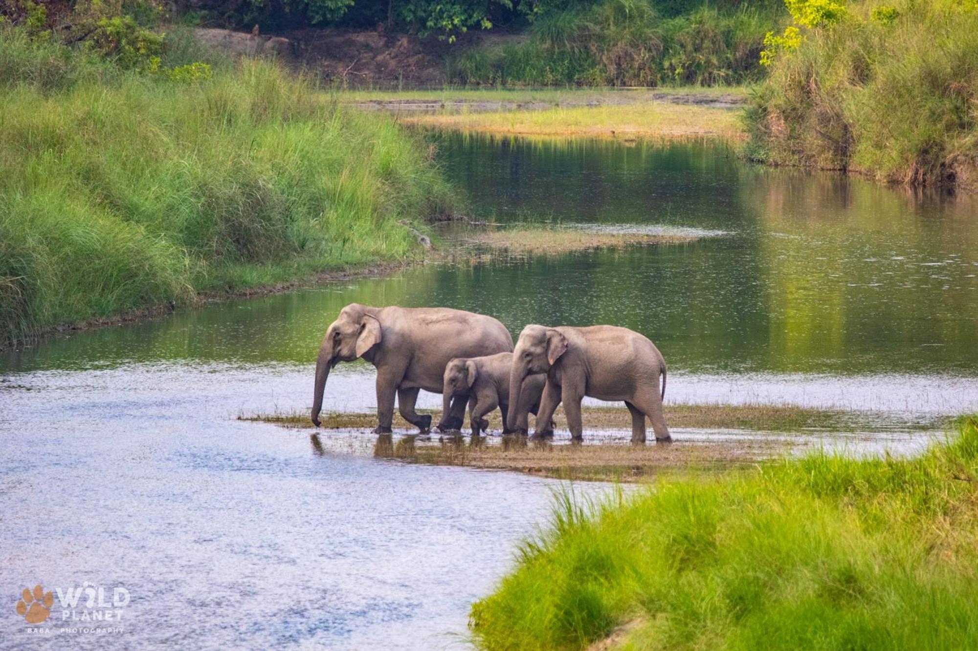 Hotel Wild Planet Eco Retreat Bardiya Esterno foto