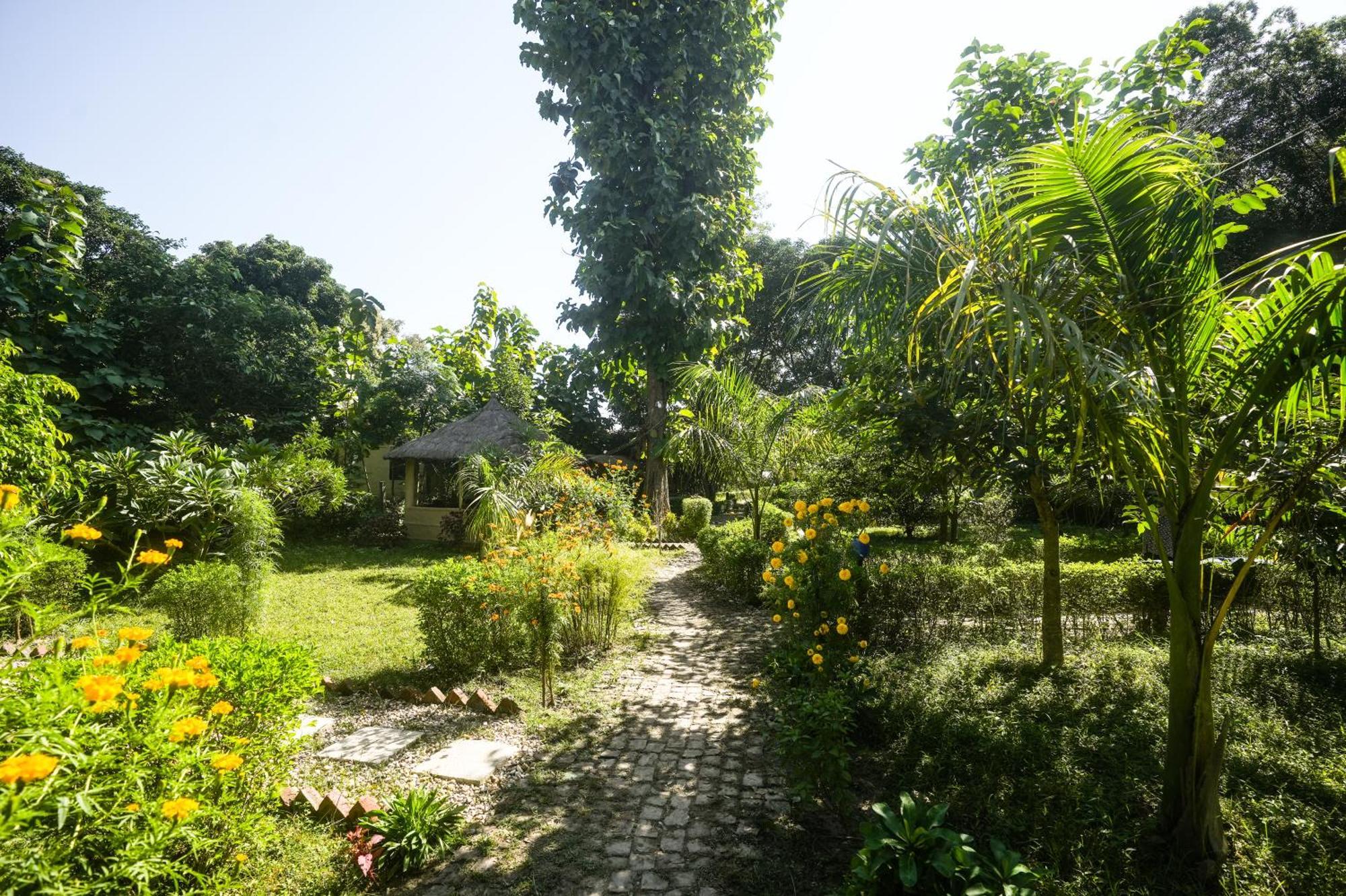 Hotel Wild Planet Eco Retreat Bardiya Esterno foto