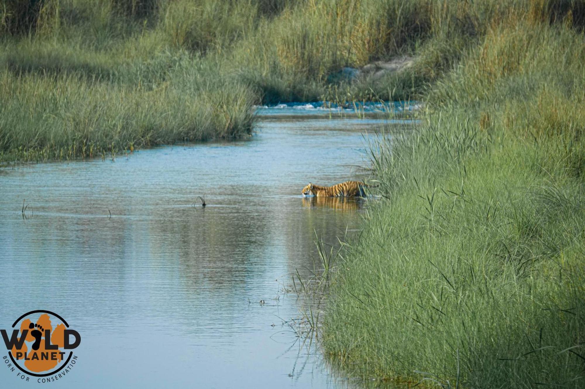 Hotel Wild Planet Eco Retreat Bardiya Esterno foto