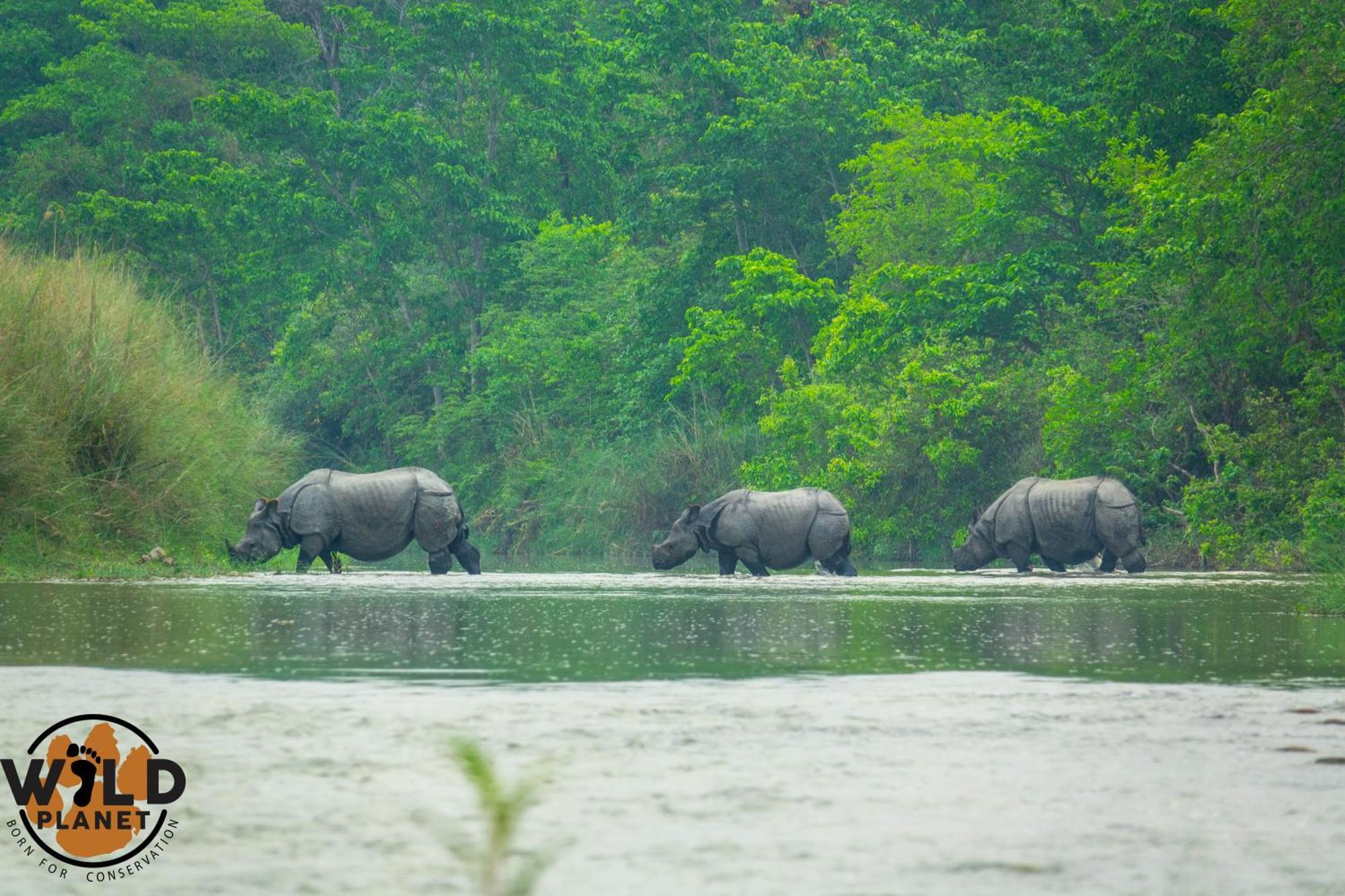 Hotel Wild Planet Eco Retreat Bardiya Esterno foto